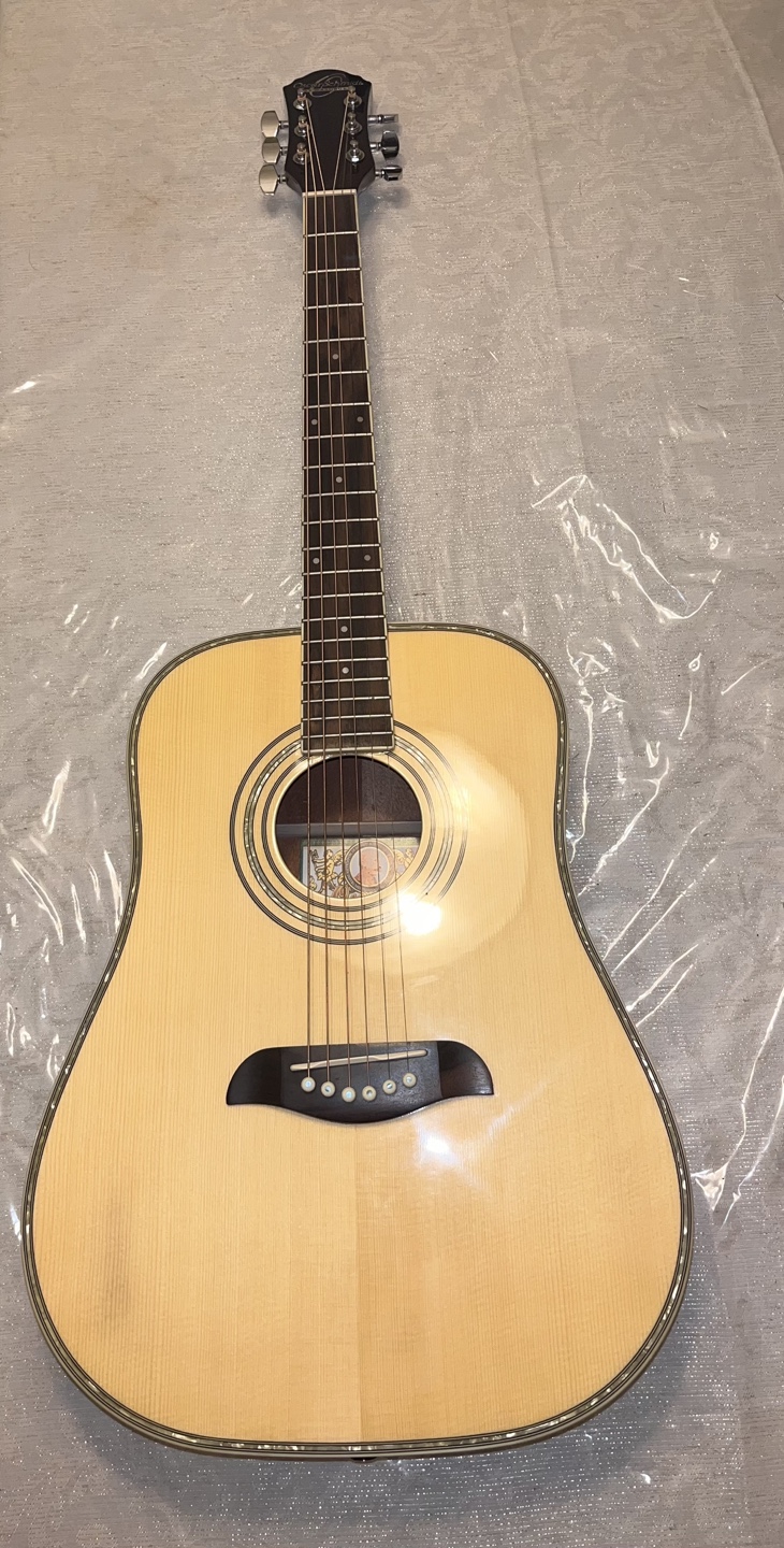 Acoustic Guitar