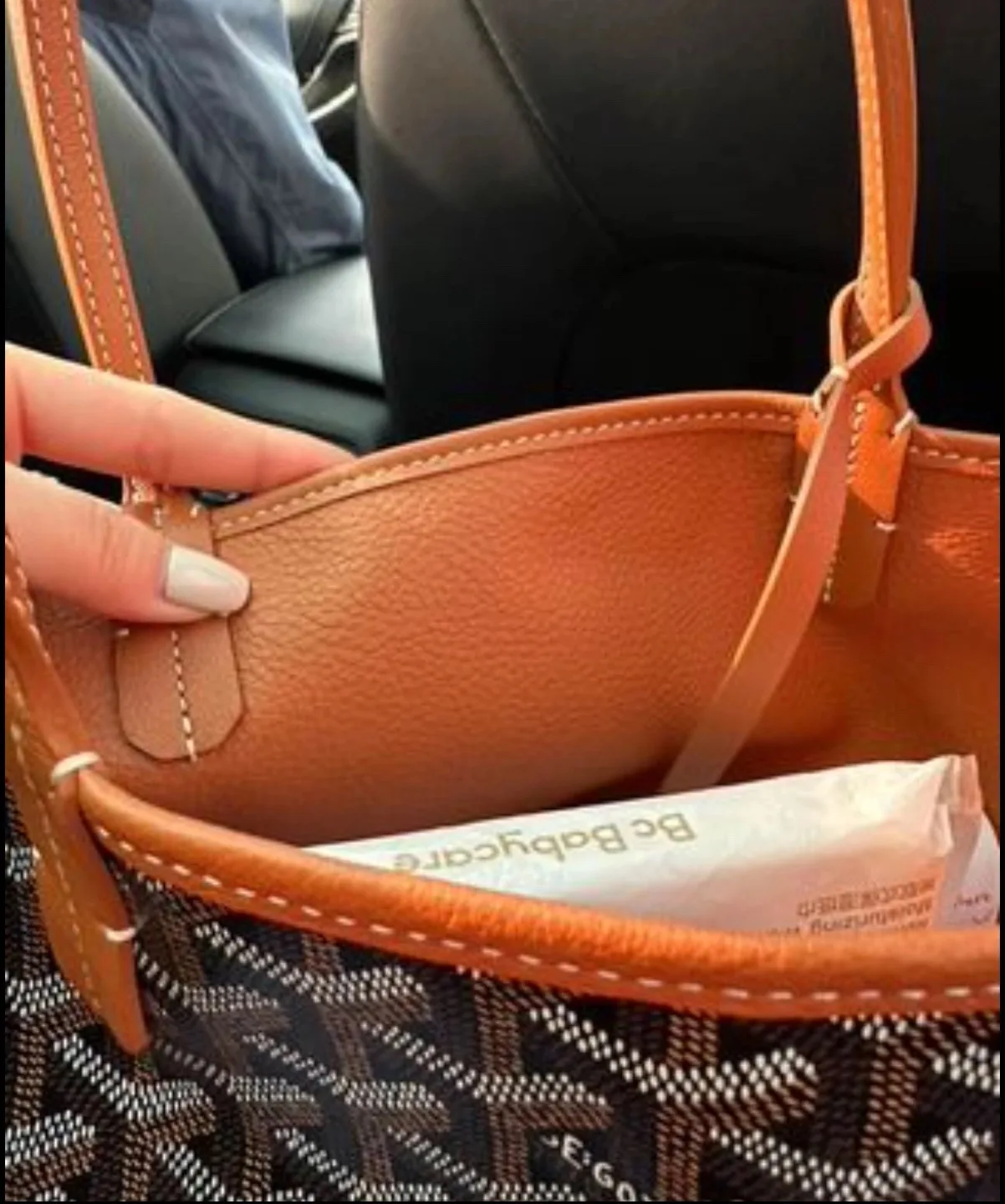 100% Authentic Goyard mini tote image indicator(8)