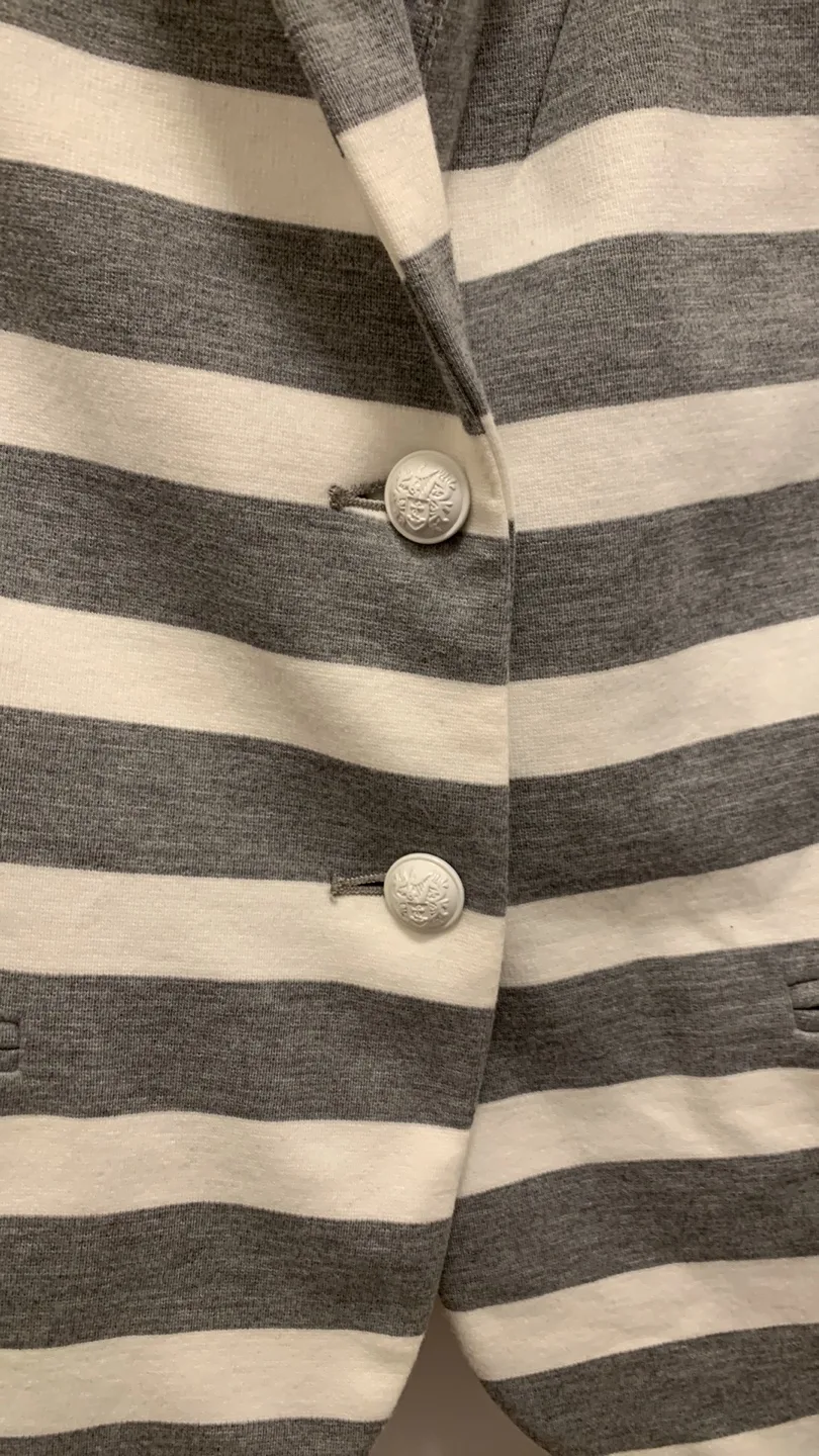 Gap Striped Blazer L image indicator(3)