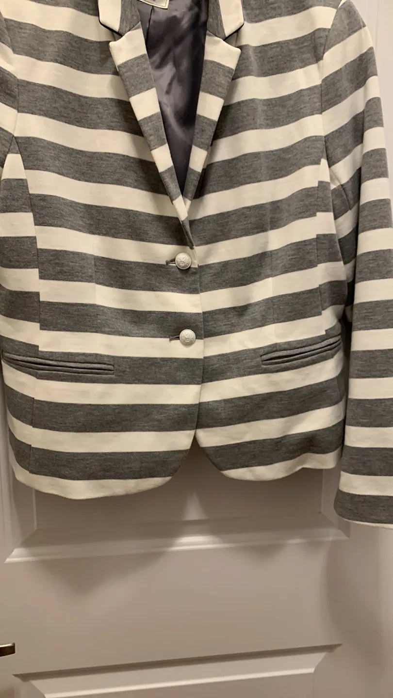 Gap Striped Blazer L image indicator(7)