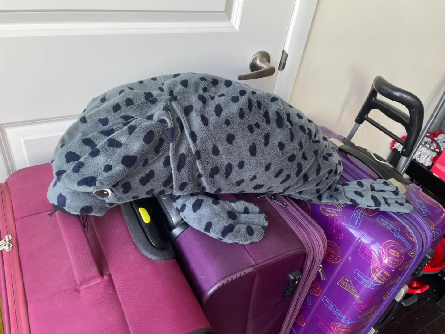 Plush Seal Toy thumbnail