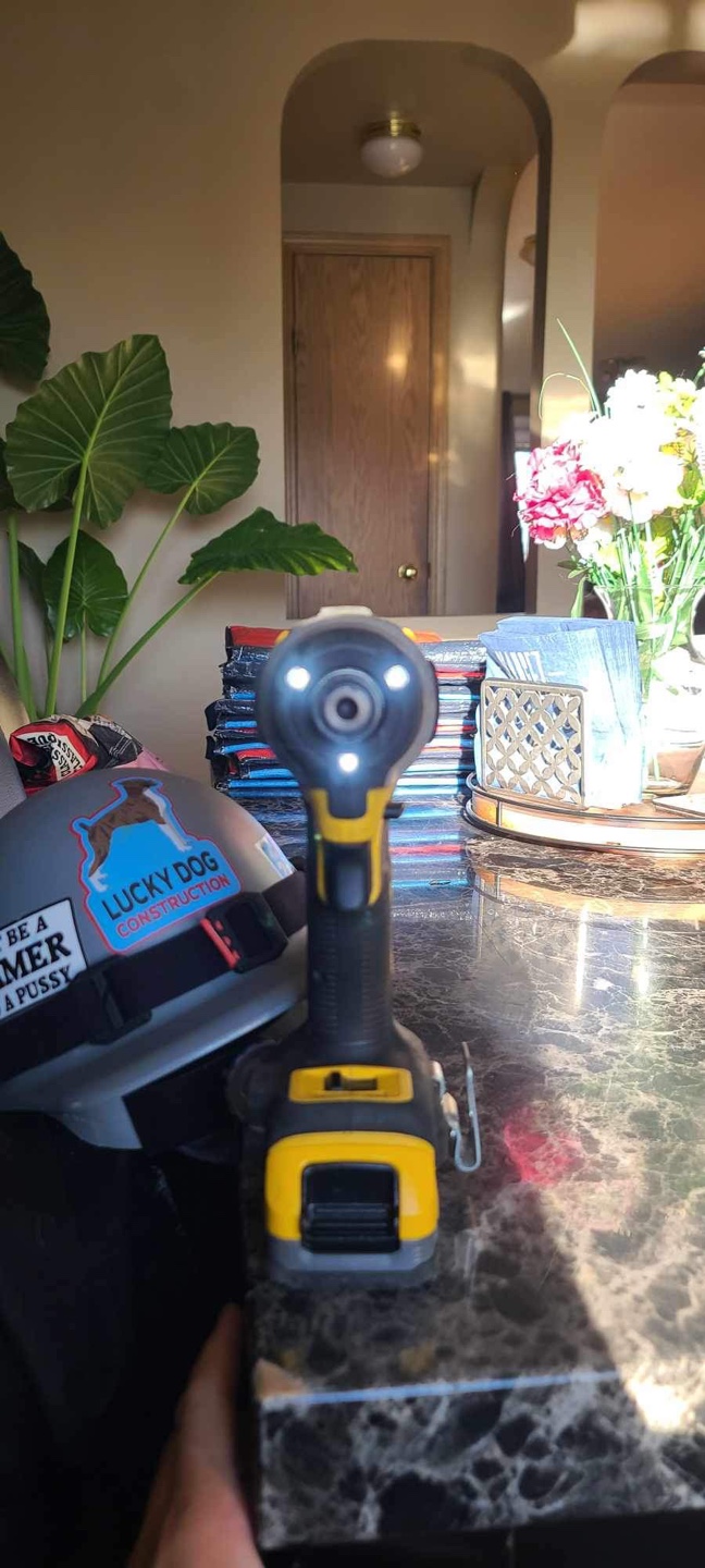 Dewalt 20V Impact Driver - photo 5