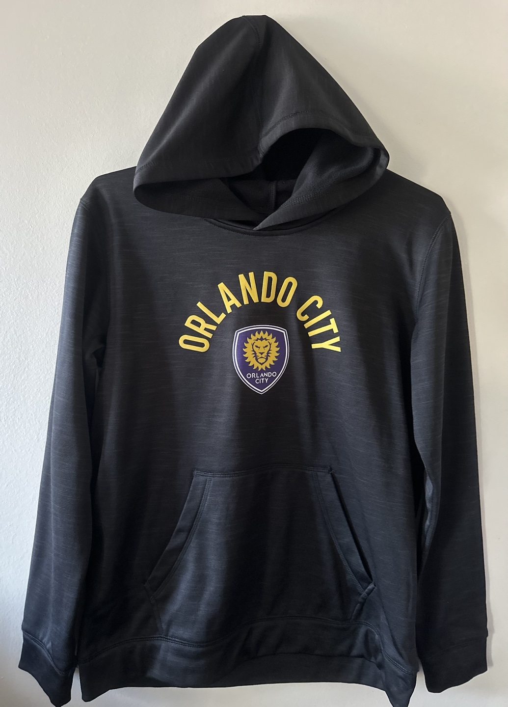 Orlando City SC Hoodie
