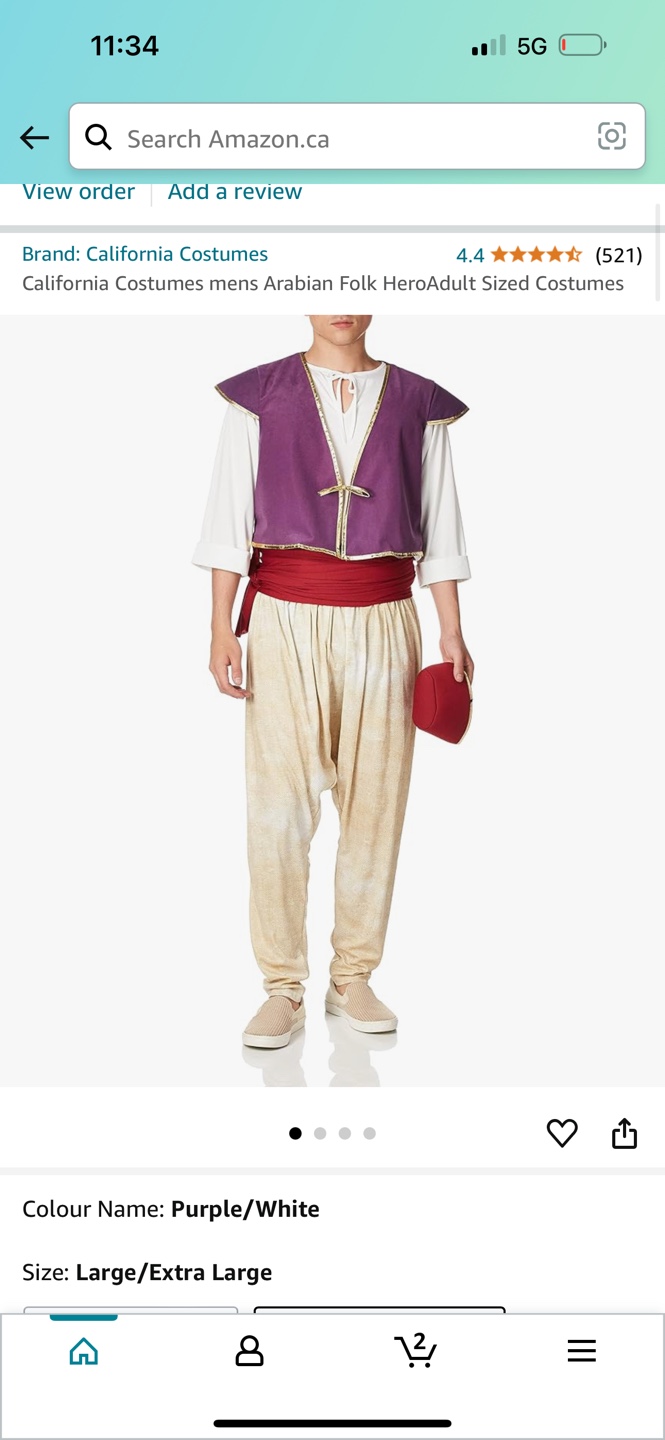 Mens Aladdin Costume