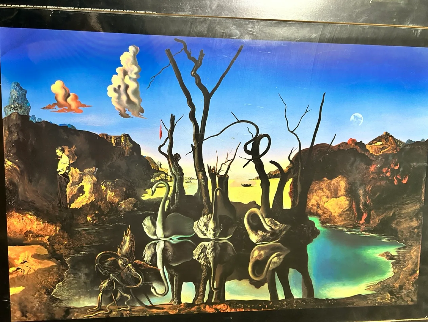 Salvador Dali Art Prints thumbnail