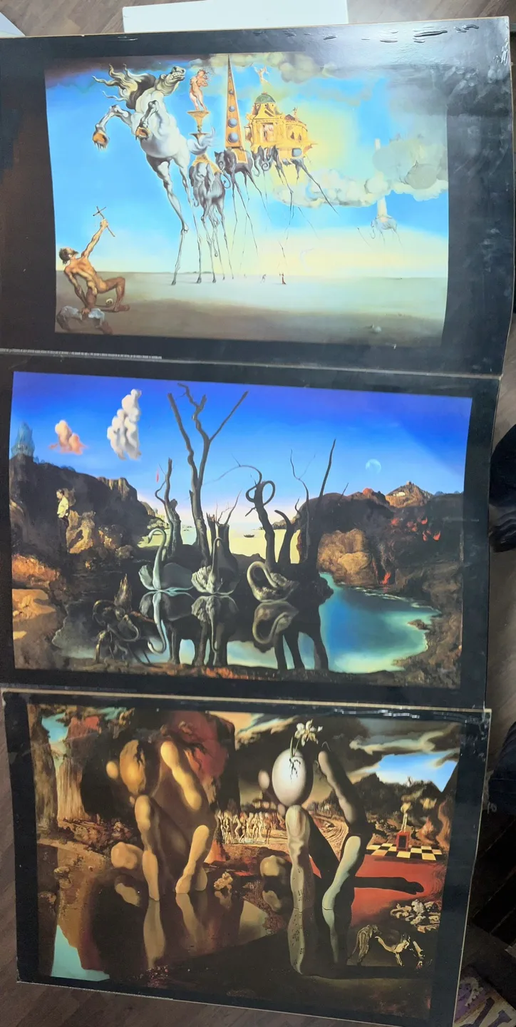 Salvador Dali Art Prints image indicator(2)