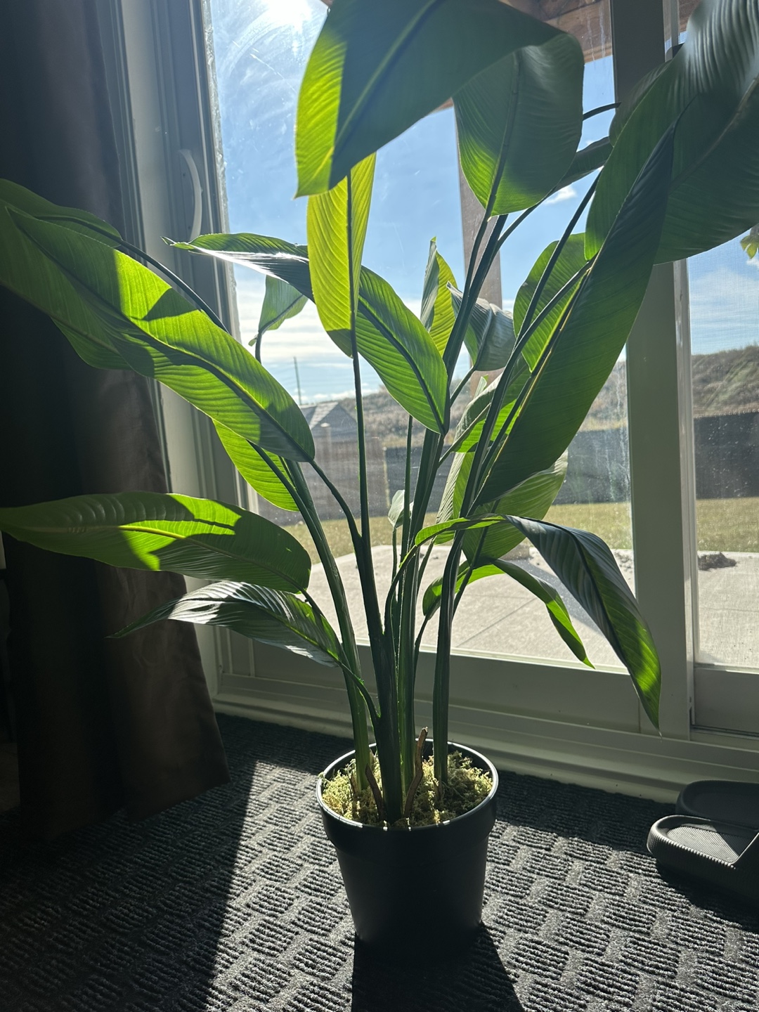 Structube Alisa - Artificial potted plant 140 cm