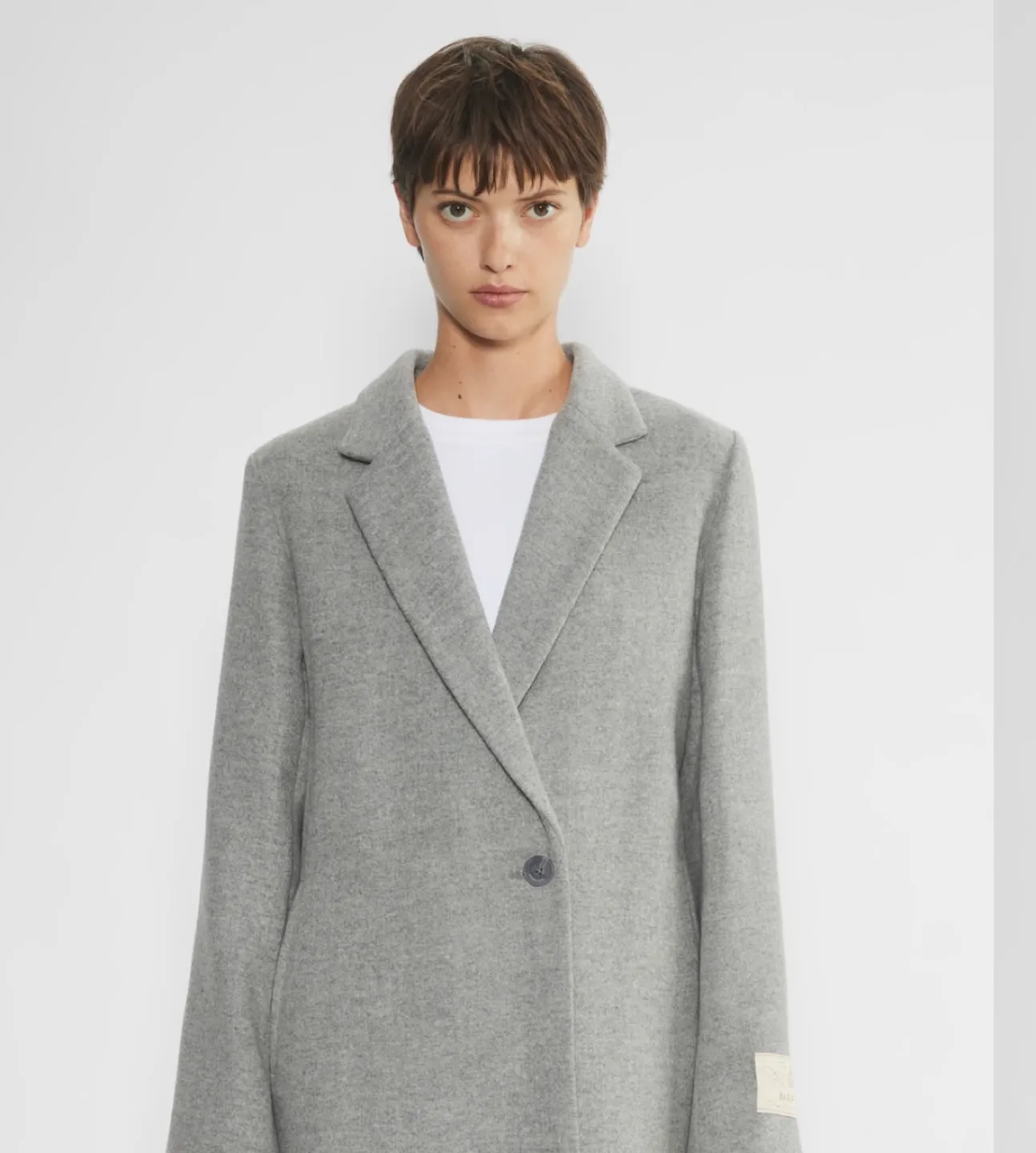 Aritzia The Group Babaton Stedman Coat image indicator(2)