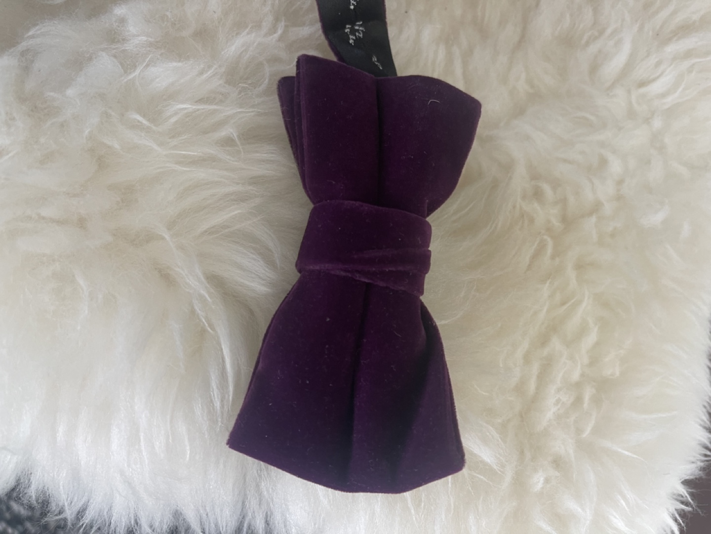 Purple Velvet Bow Tie