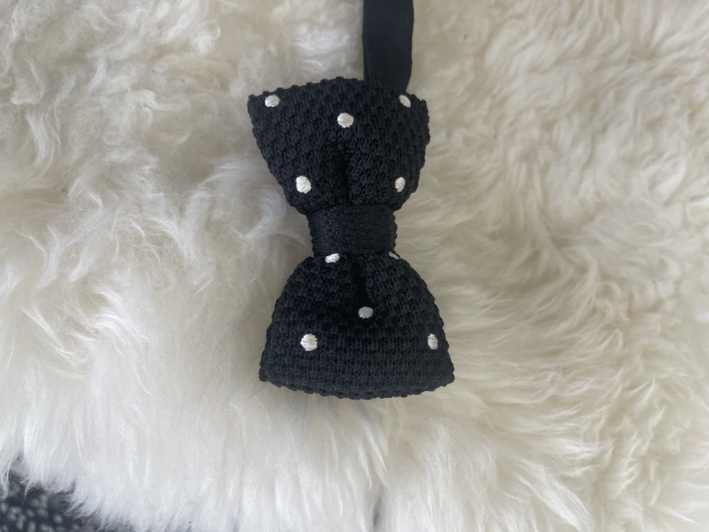 Black and White Polka Dot Bow Tie