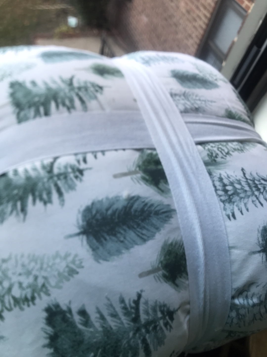 Set of Two Decorative Pillows