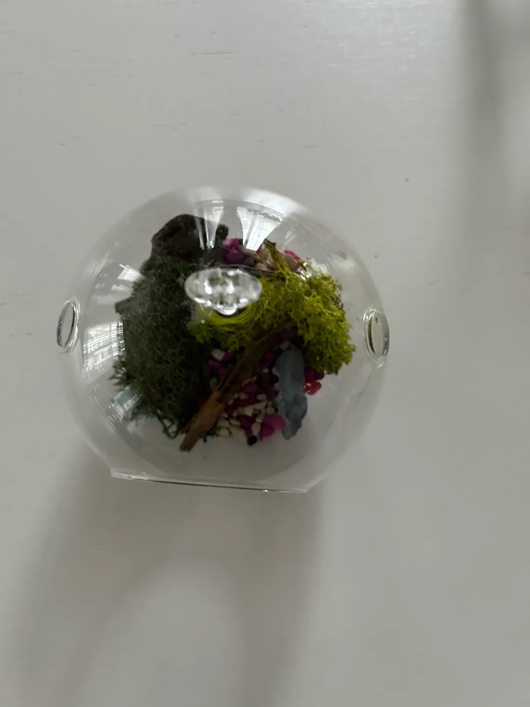 Glass terrarium with decor image indicator(2)
