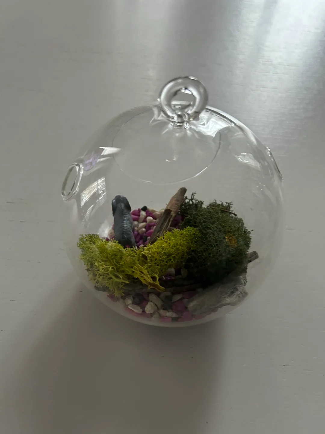 Glass terrarium with decor image indicator(3)