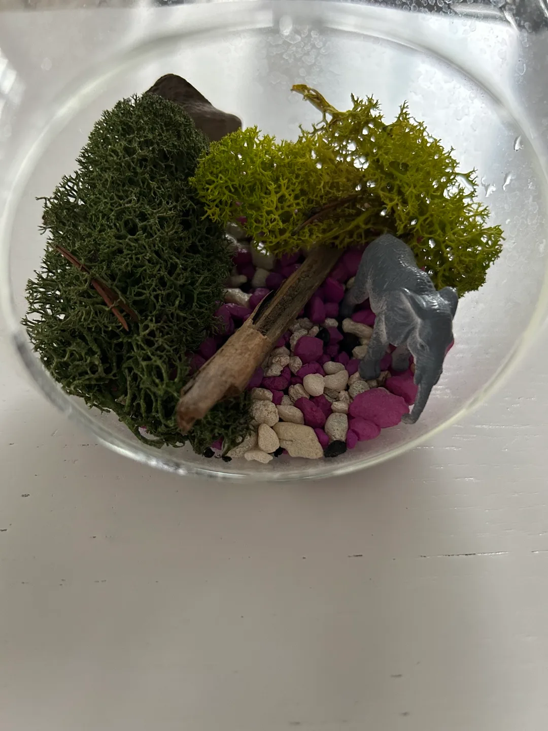 Glass terrarium with decor image indicator(5)