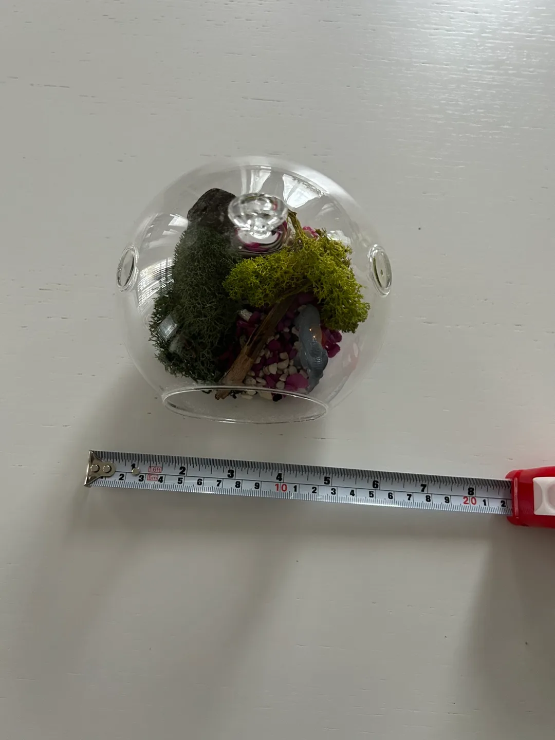 Glass terrarium with decor image indicator(4)