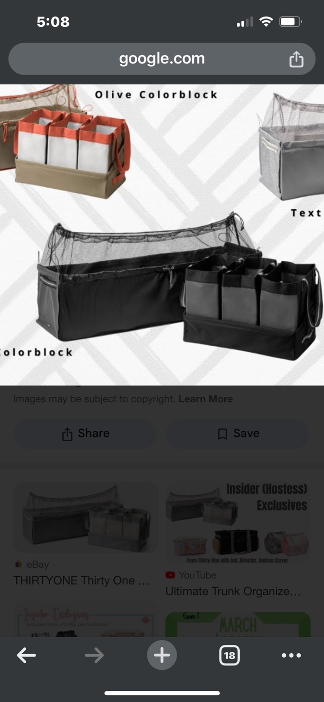 Thirty-One Ultimate Trunk Organizer