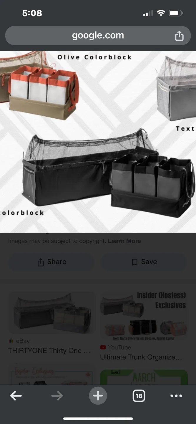 Thirty-One Ultimate Trunk Organizer thumbnail