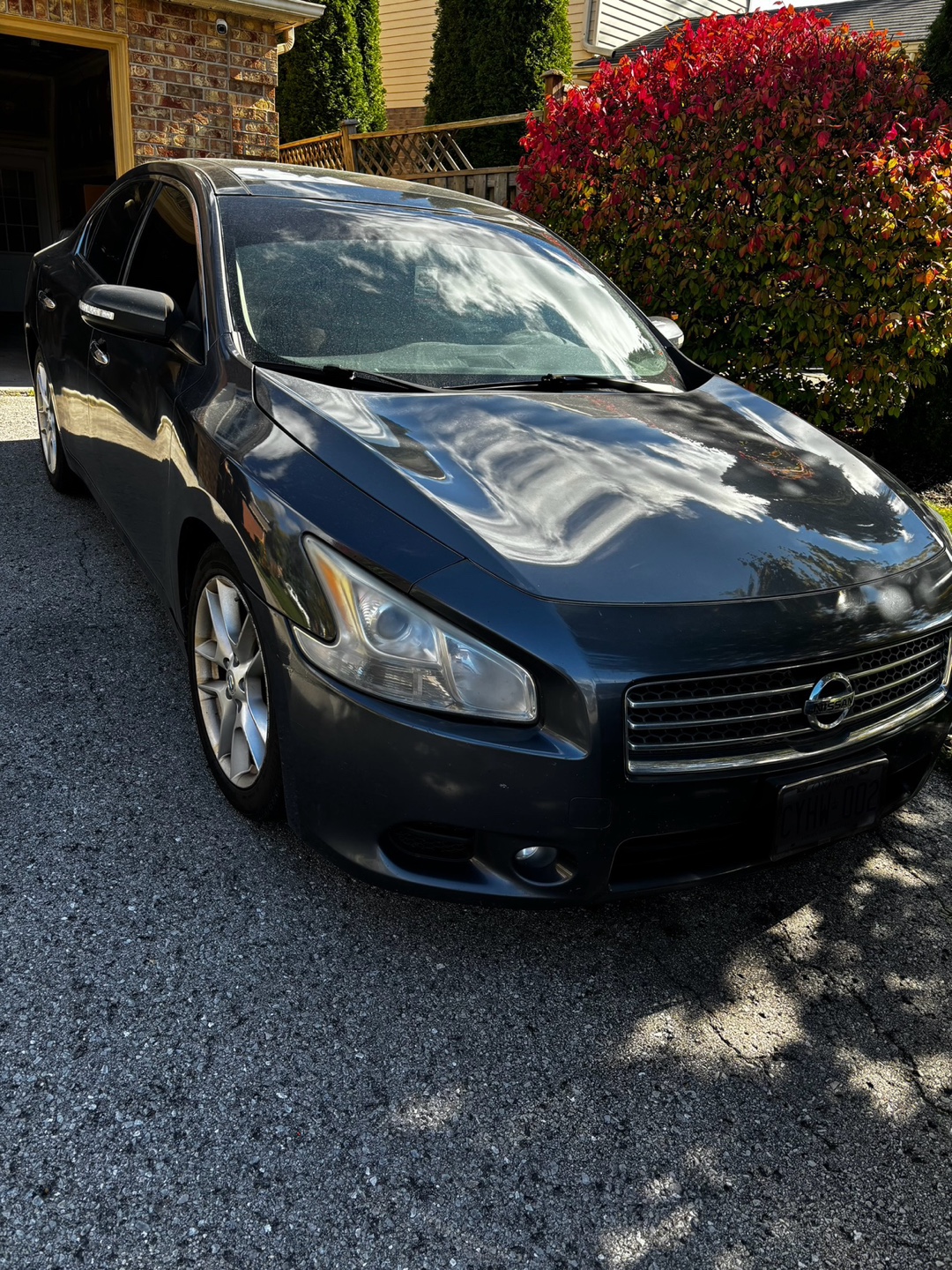 2009 Nissan Maxima