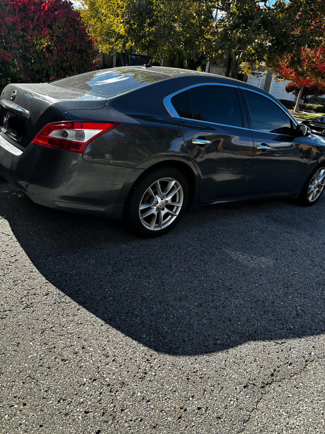2009 Nissan Maxima - photo 2