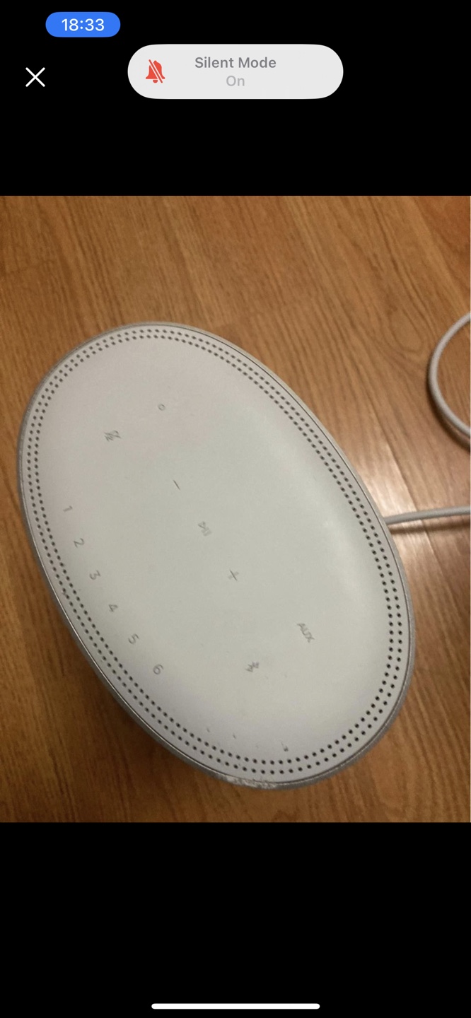 Bose Home Speaker 500 - photo 2