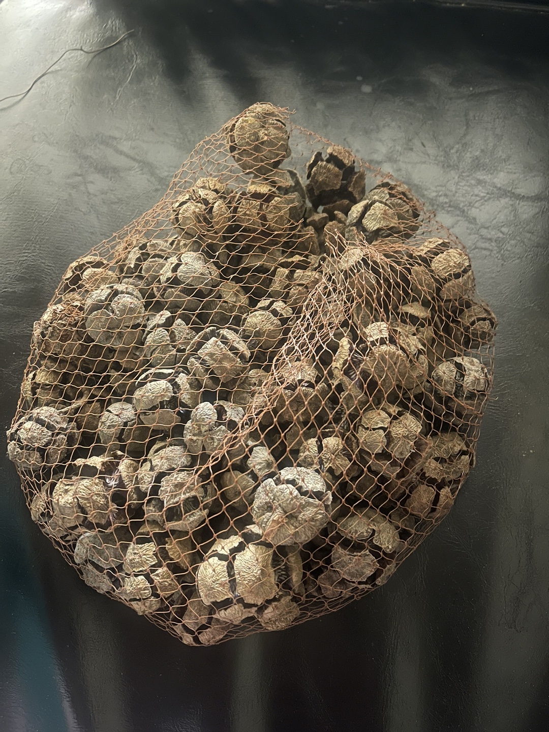 Bag of Pine Cones