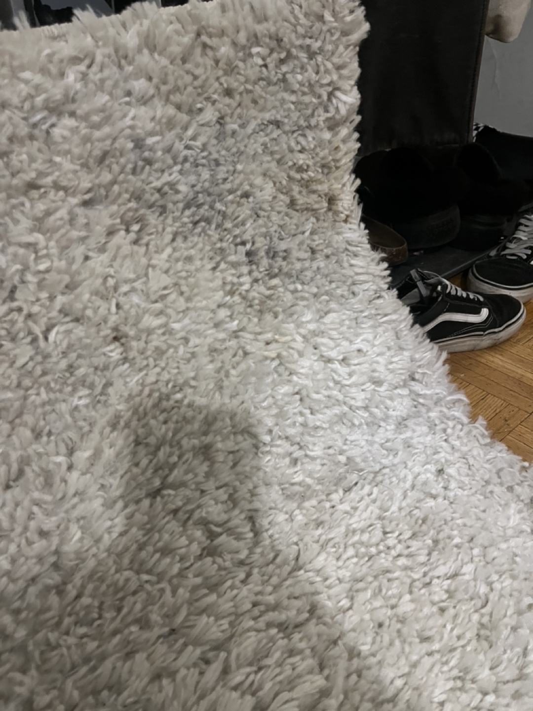 Cream area rug 7’x10’ - Pending - photo 2