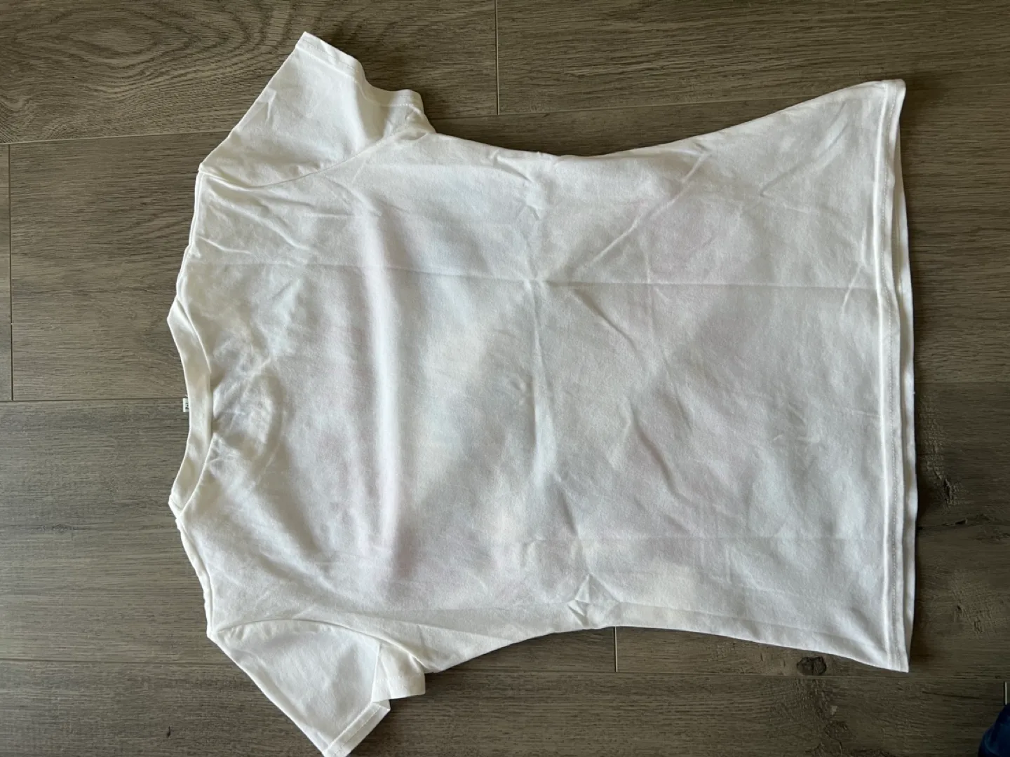 Morgan de Toi Eagle Graphic T-Shirt Small image indicator(6)