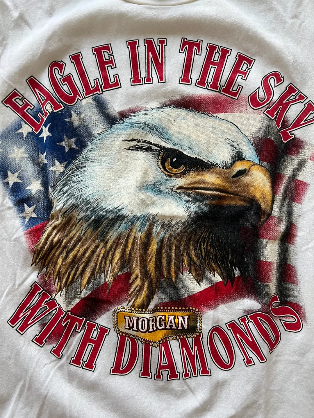 Morgan de Toi Eagle Graphic T-Shirt Small image indicator(4)