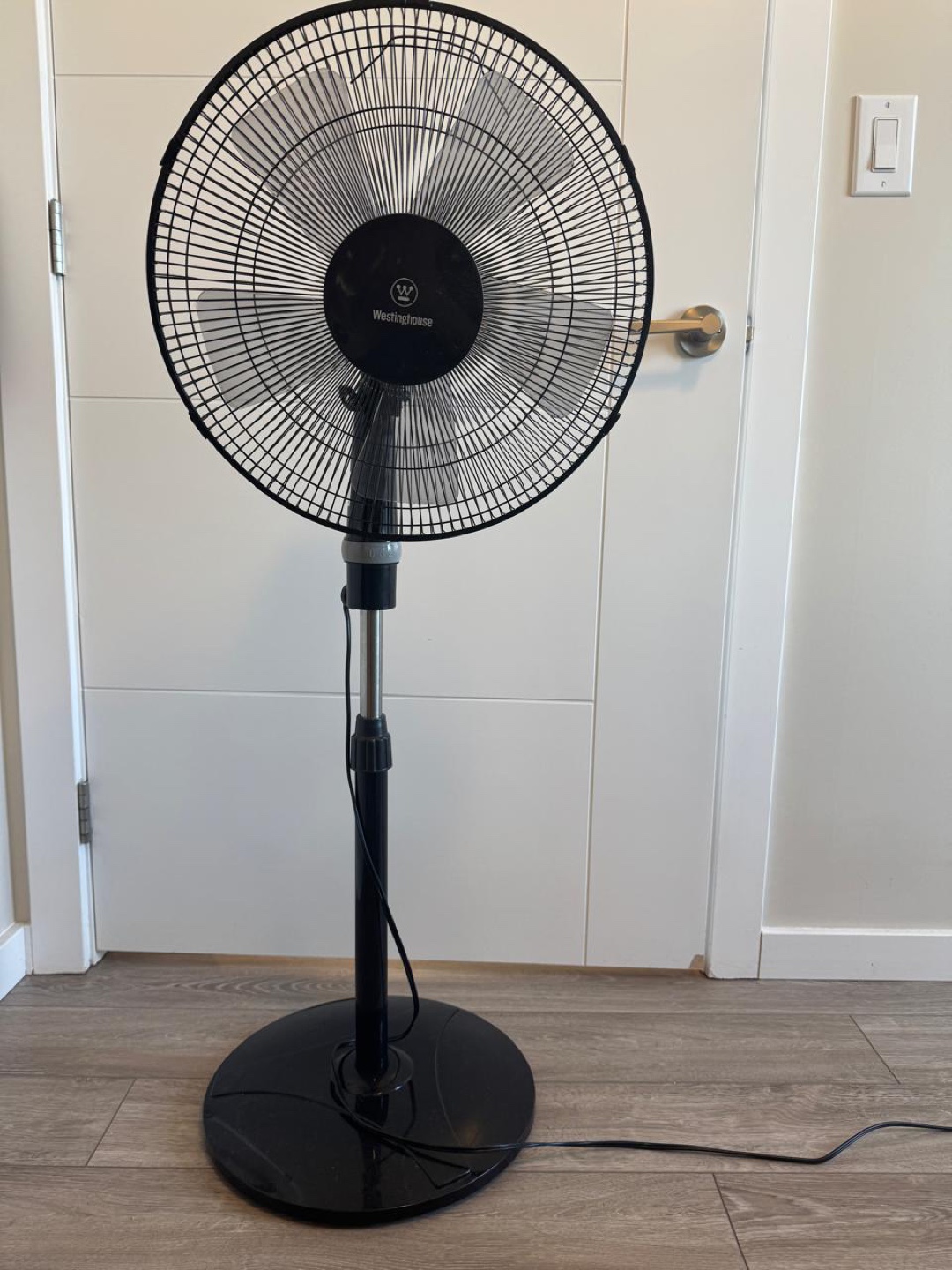 Fan