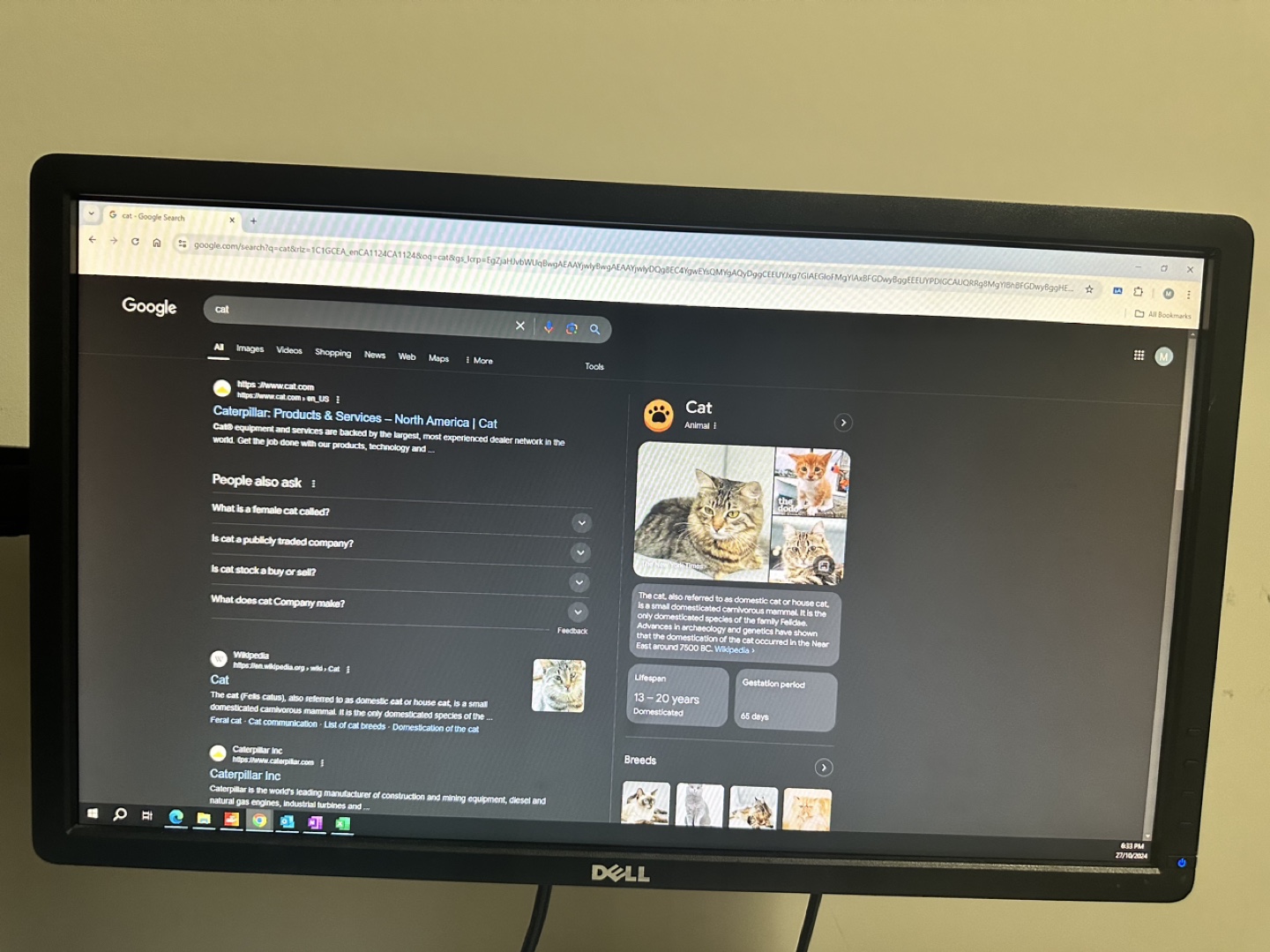 Two 24 inch Dell Monitors on SALE! - photo 2