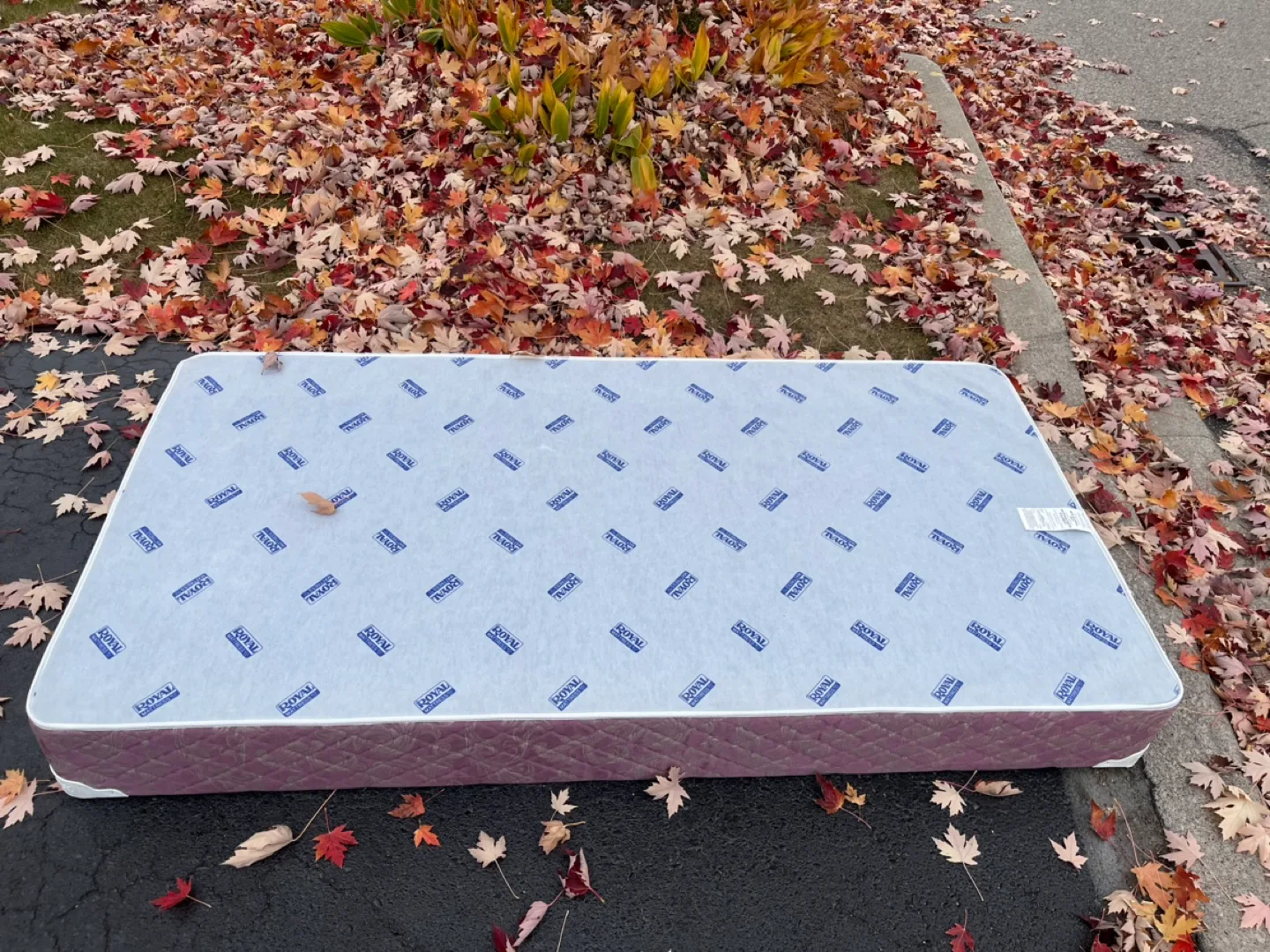 #freecycle Double Box Spring thumbnail