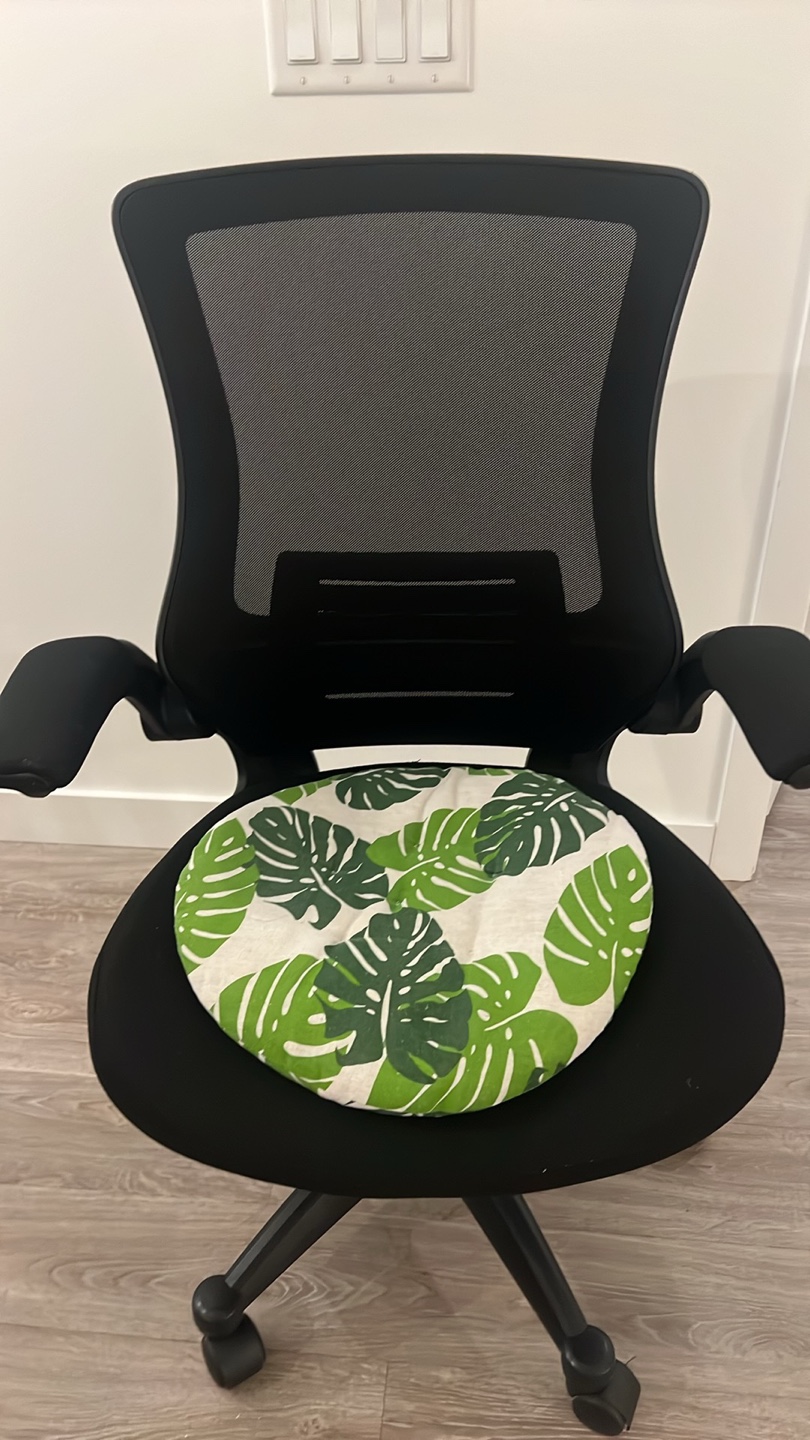 Black Mesh Office Chair with Armrests