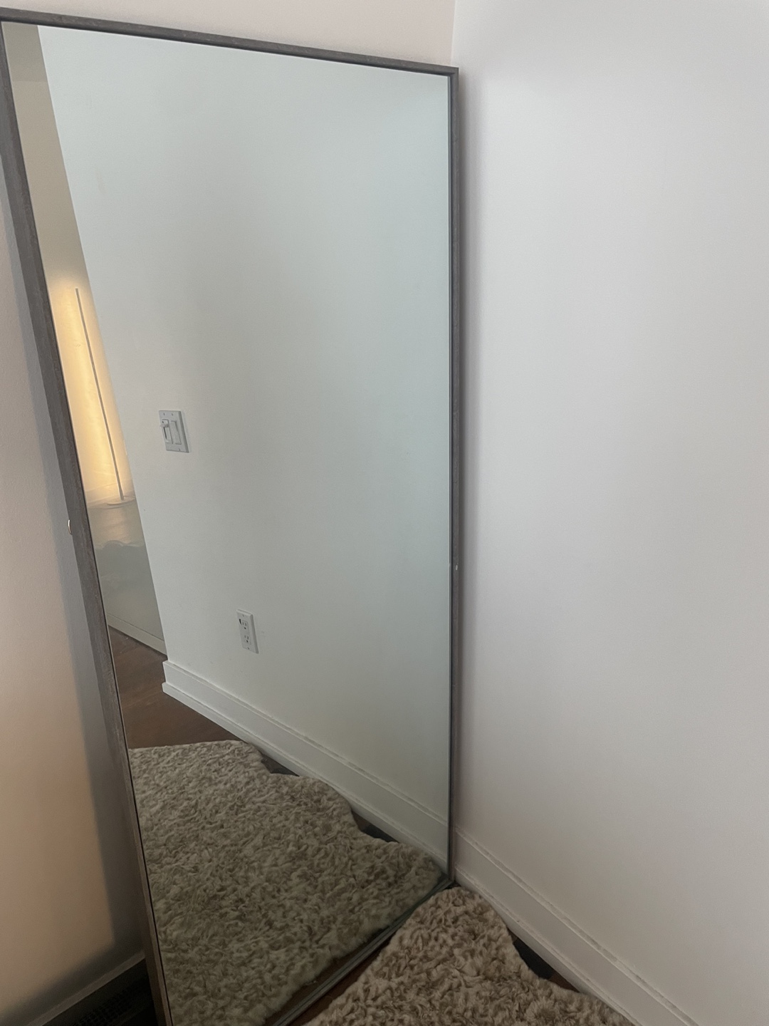 Full Length Mirror with Grey Frame