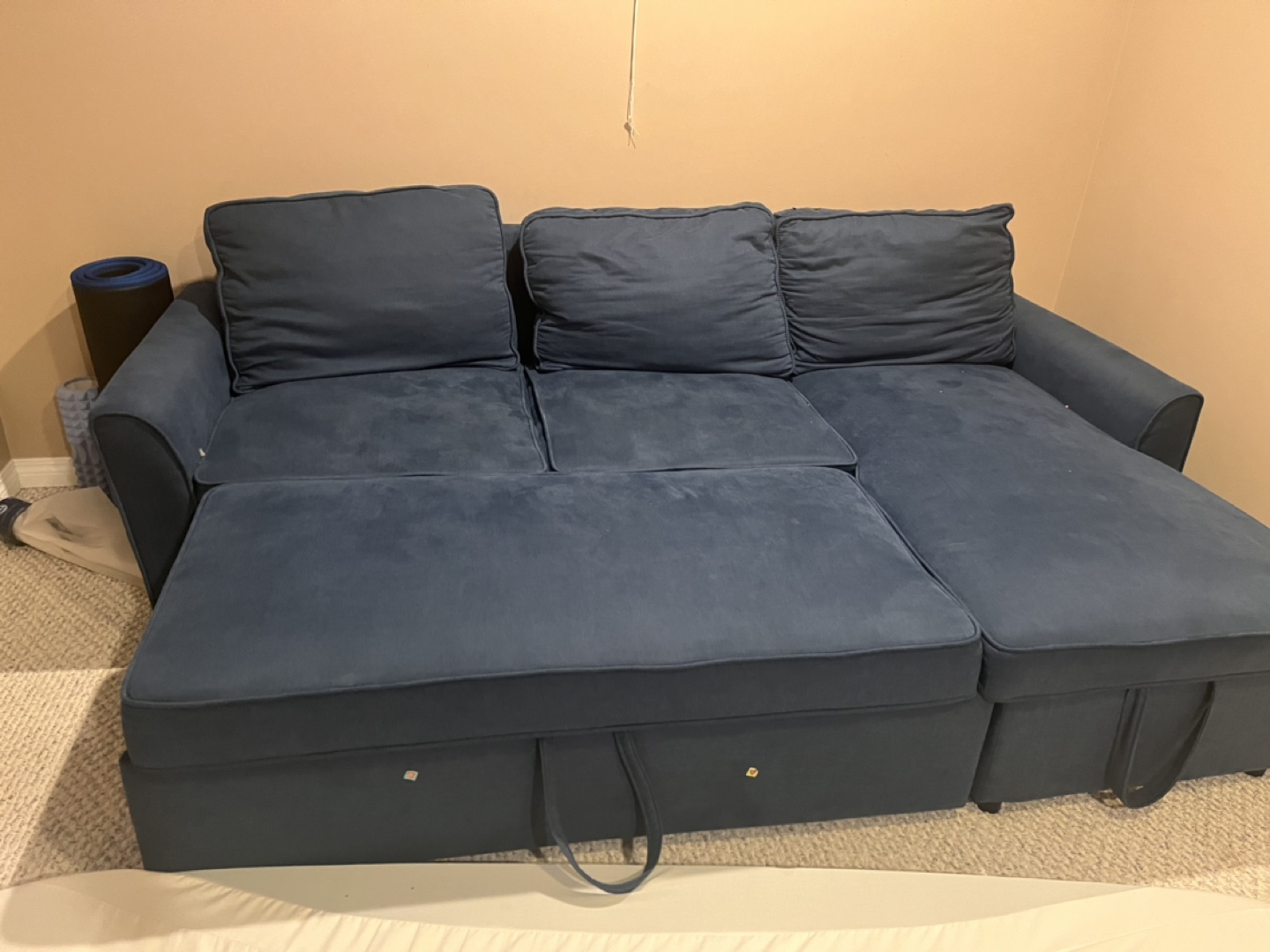 Structube-Friheten Sectional Sofa Bed