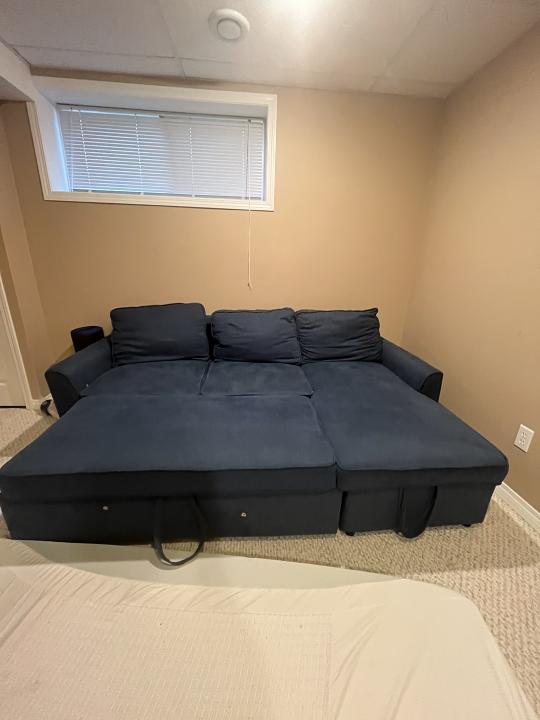 Structube-Friheten Sectional Sofa Bed - photo 2