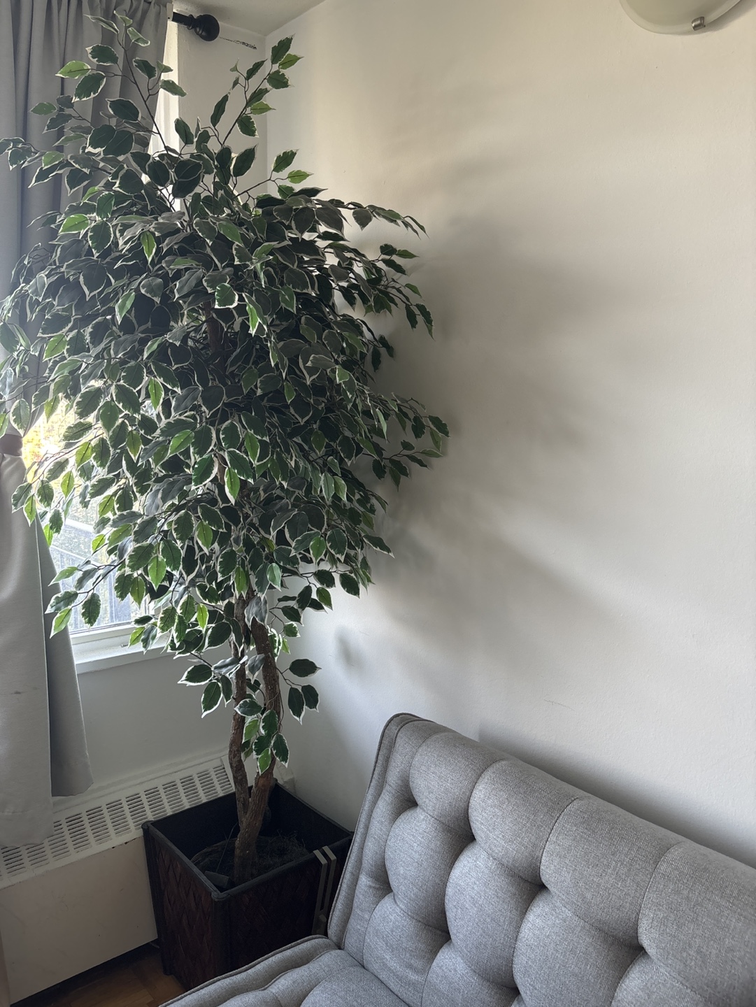 Artificial Ficus Tree