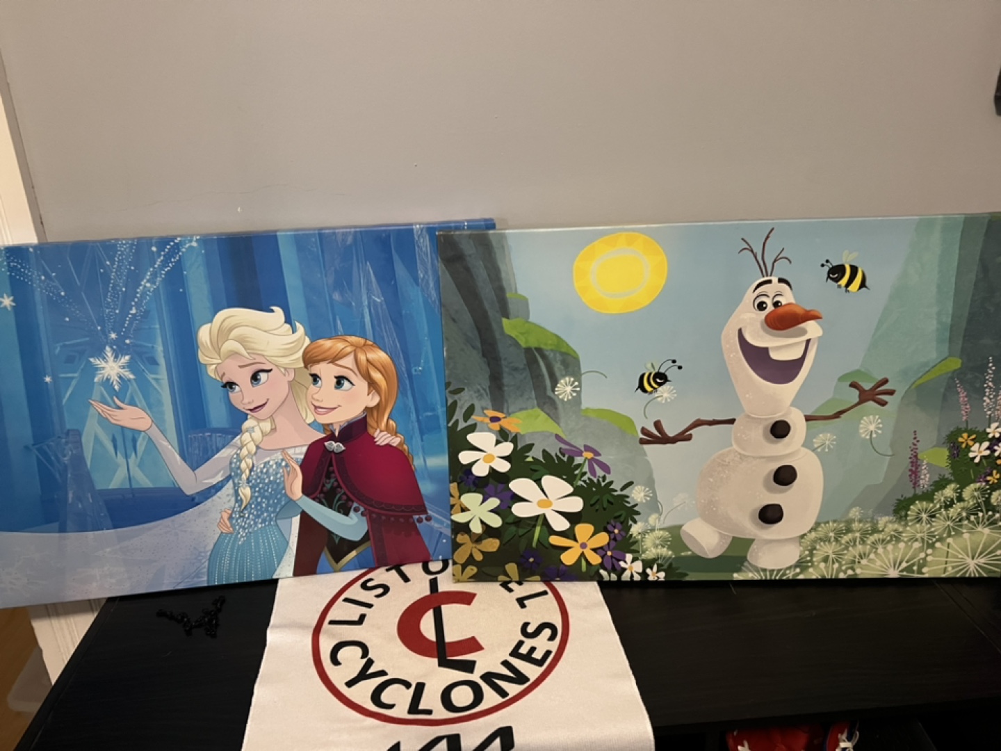 Frozen Canvas Wall Art Set