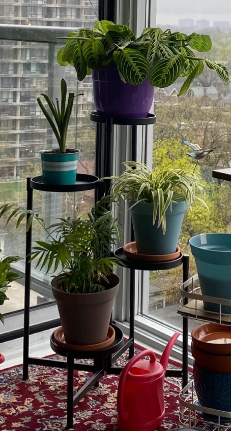 Plant Stand thumbnail