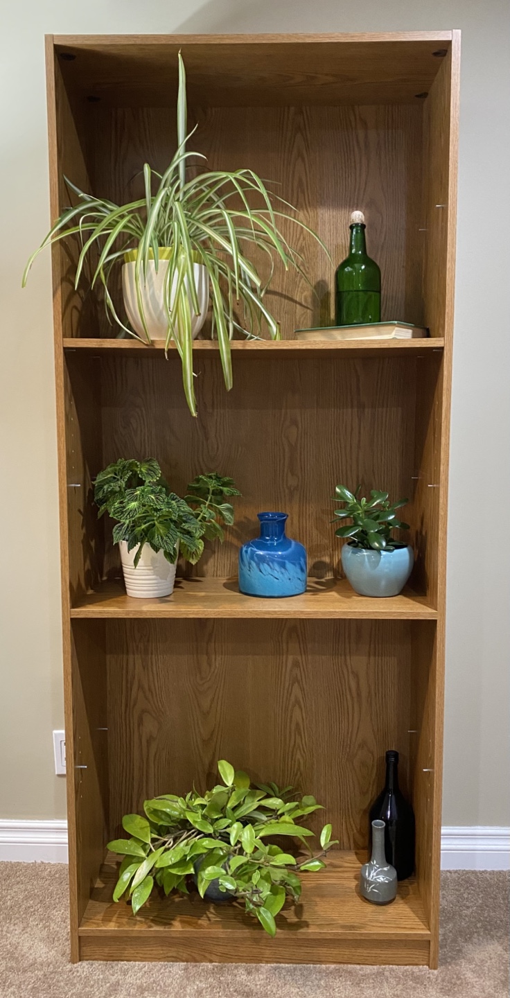 BOOK CASE/PLANT STAND
