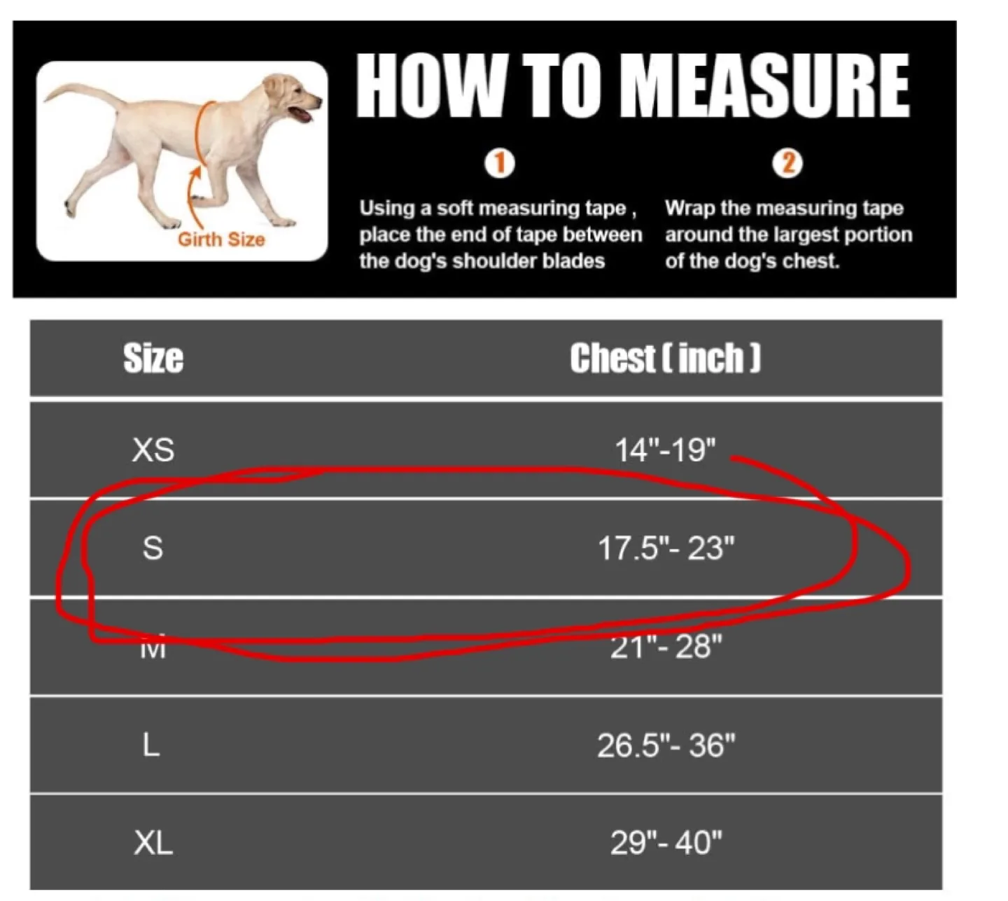 Dog Harness and Leash with Patches- Small image indicator(4)