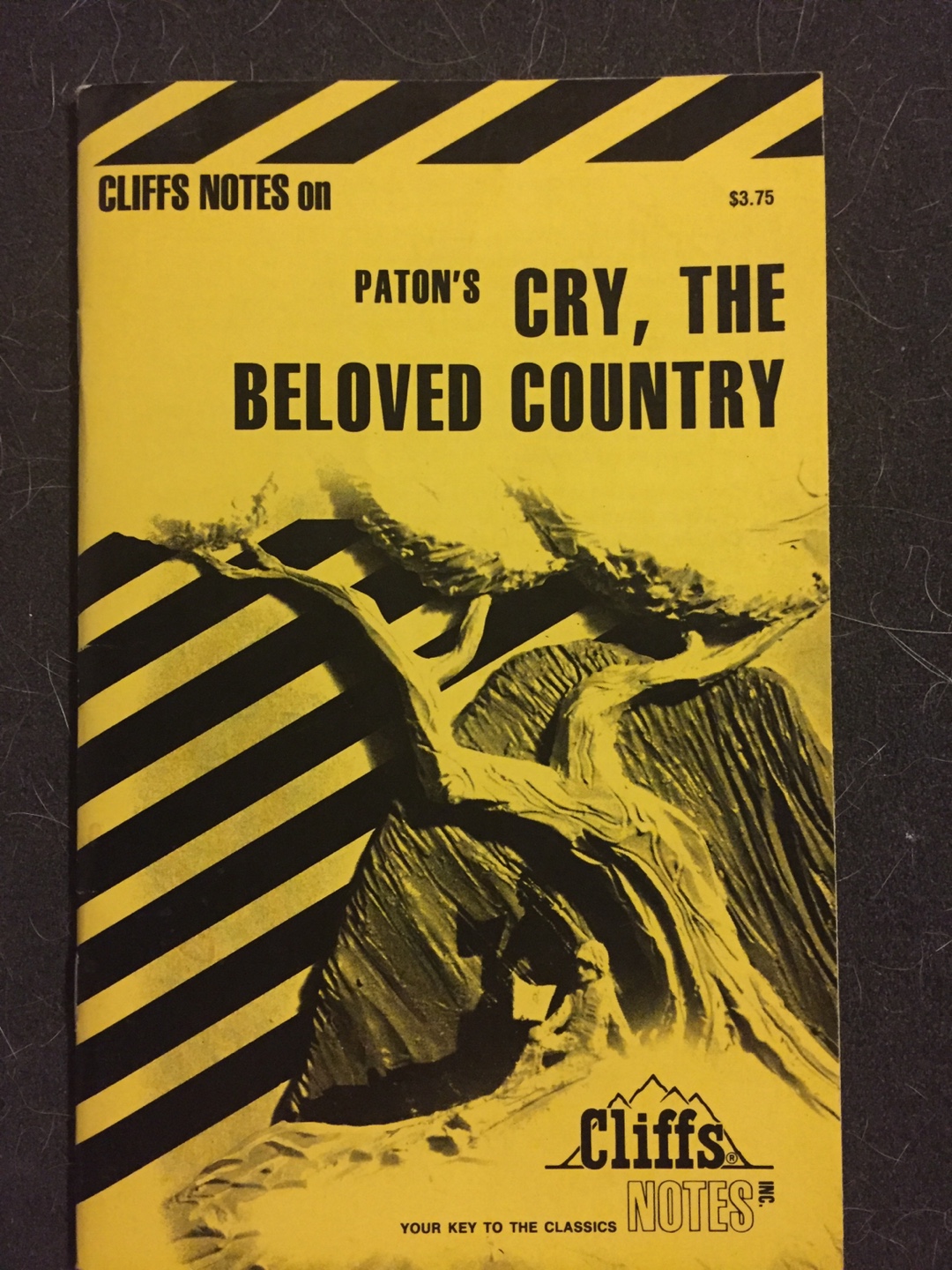 Cliffs Notes on Paton's Cry, The Beloved Country