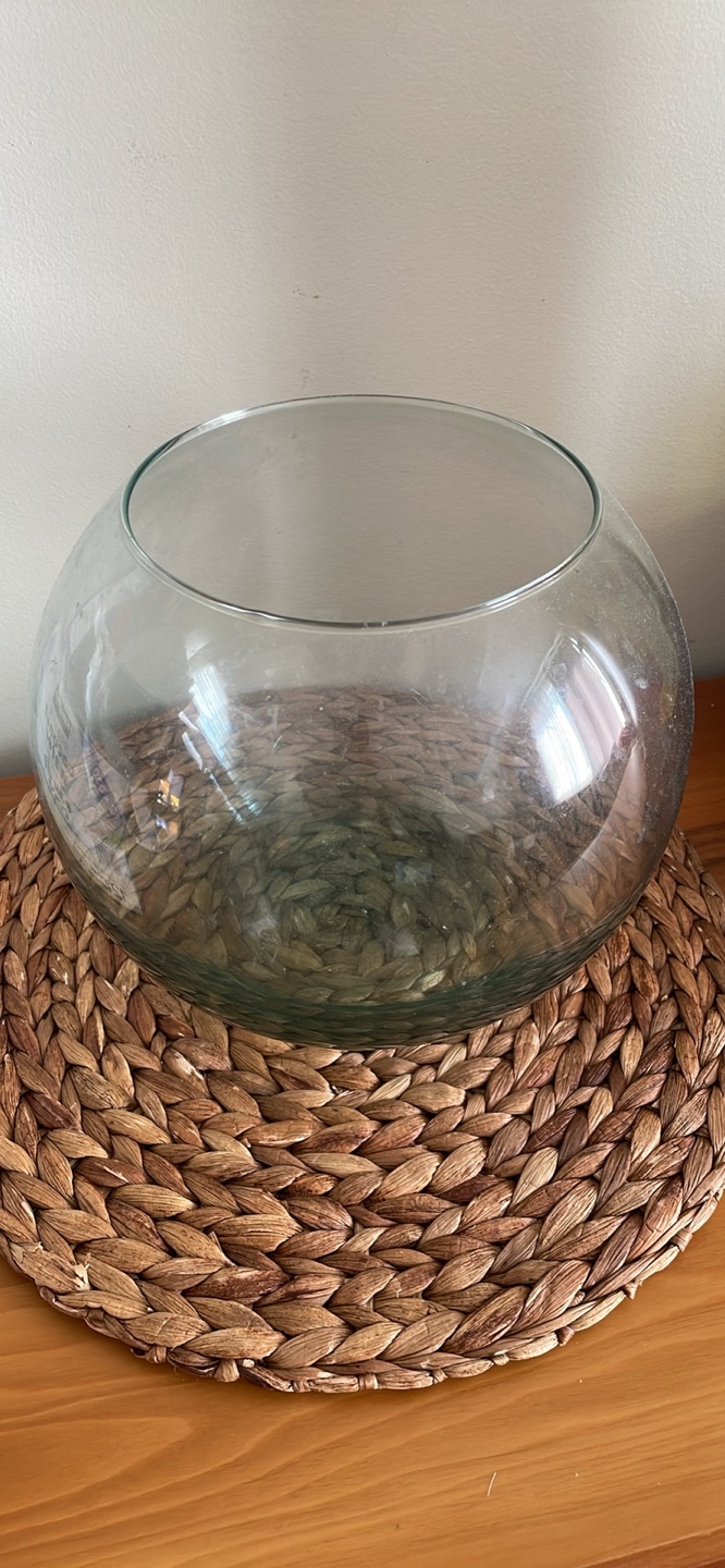 Glass Bowl Aquarium 6 L