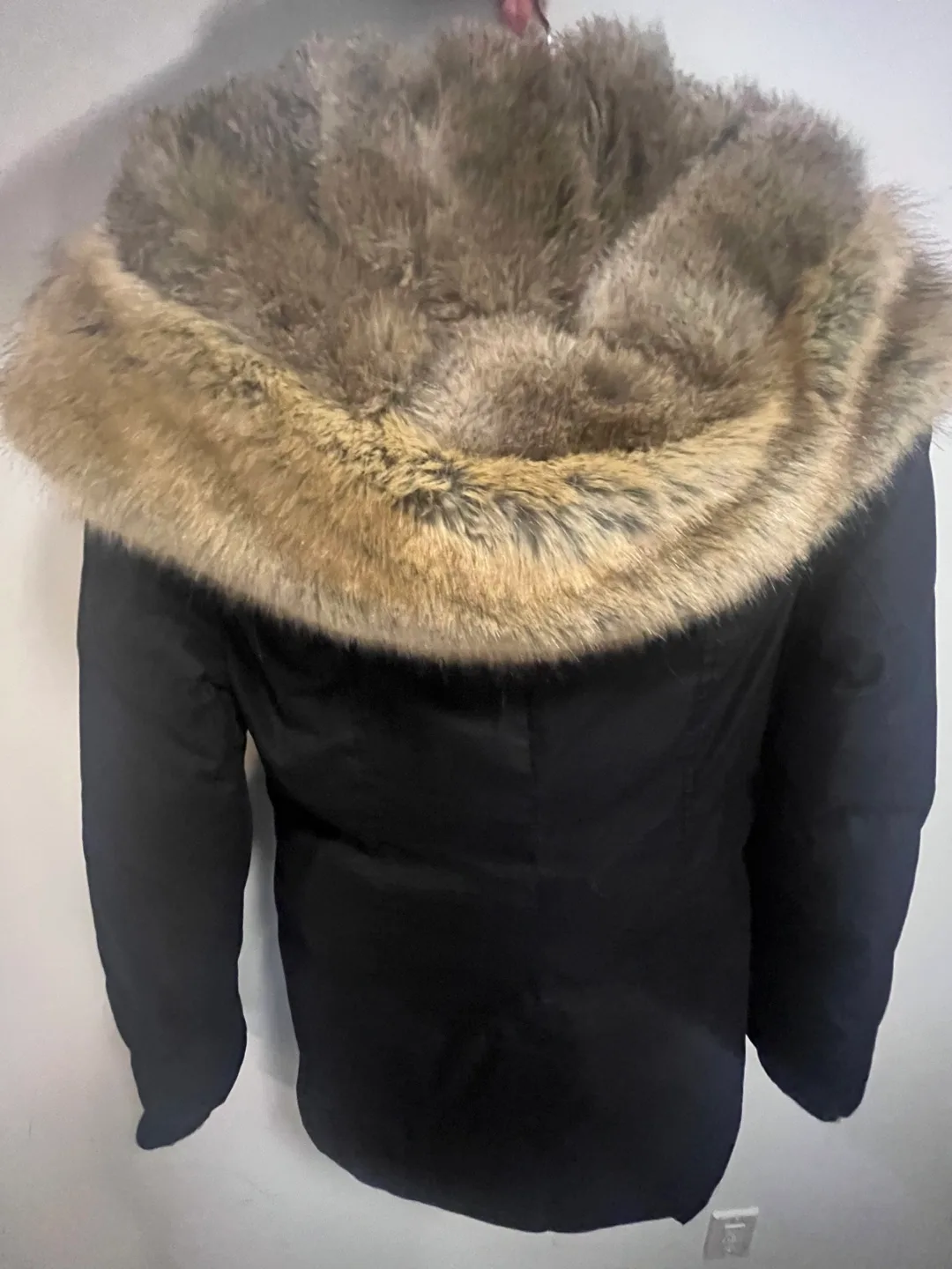 Aritzia Small Parka/Coat (Babaton Harrison) image indicator(3)