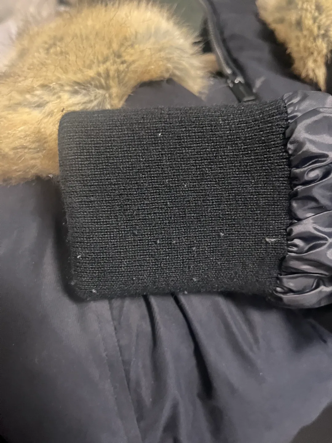 Aritzia Small Parka/Coat (Babaton Harrison) image indicator(7)