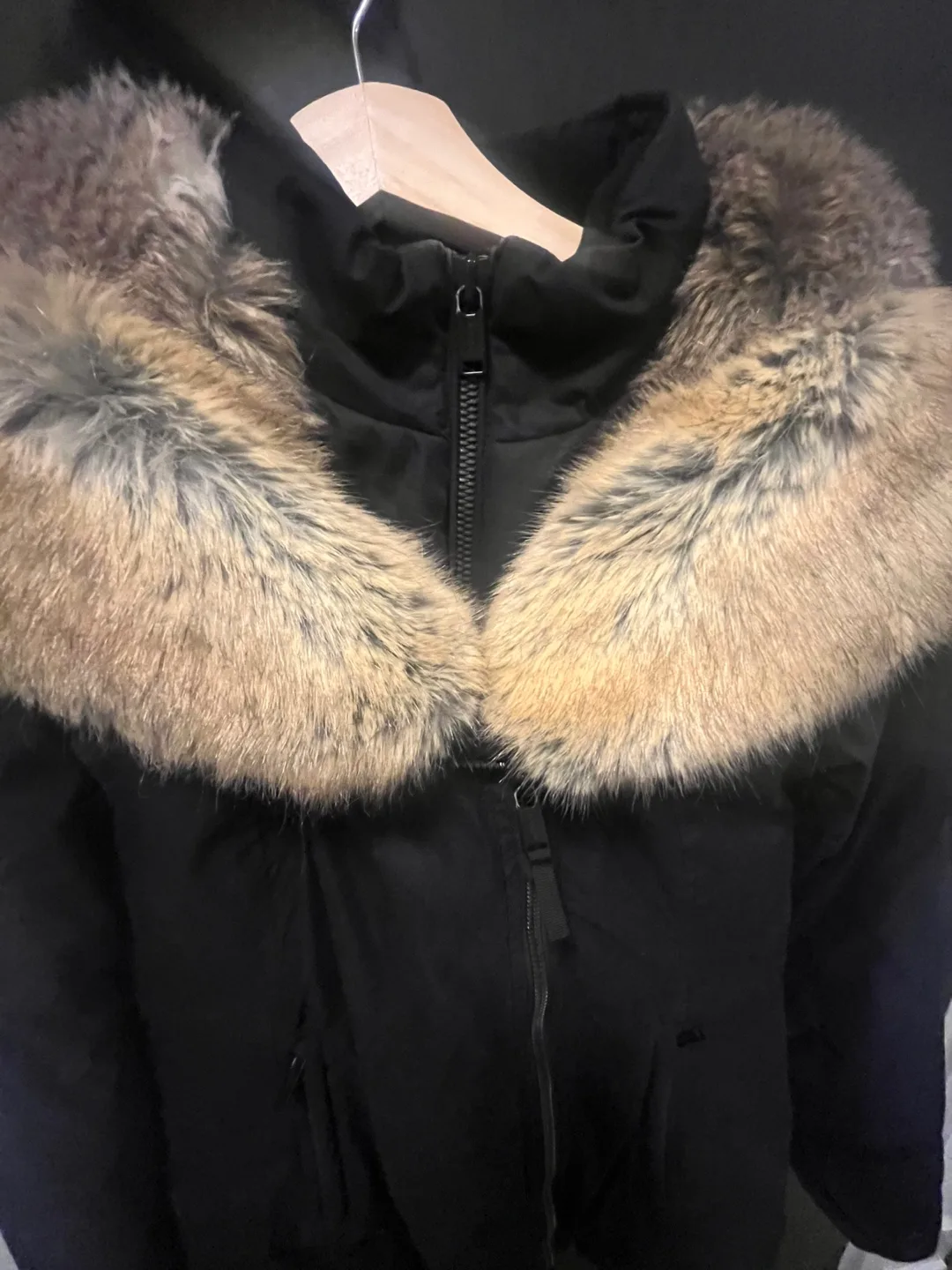 Aritzia Small Parka/Coat (Babaton Harrison) image indicator(6)