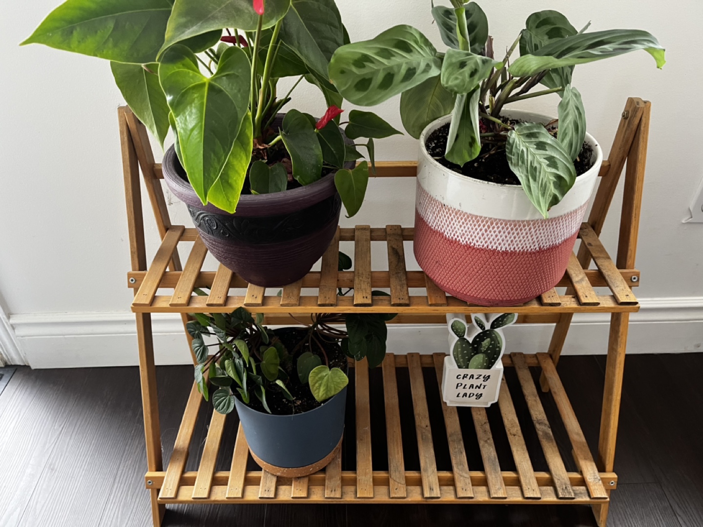 Two-tier wooden plant stand