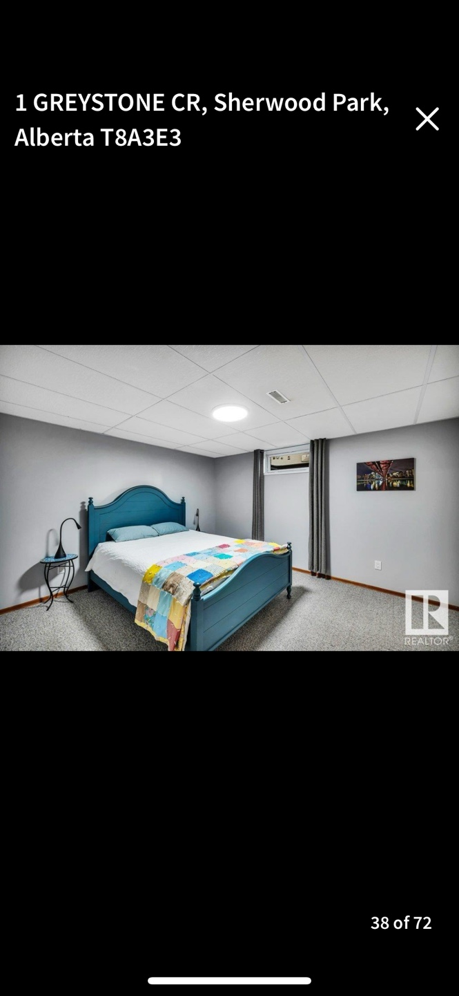 Blue Queen Bed with new Mattress