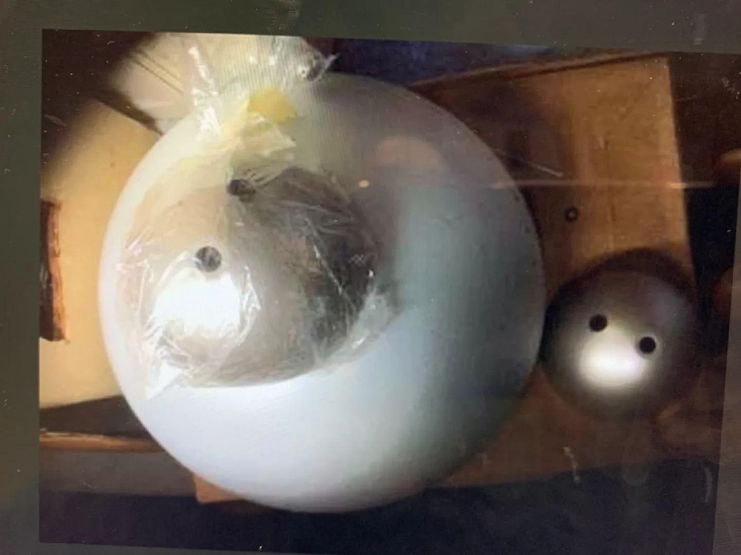 Light Pendant with metal Dome shade image indicator(2)