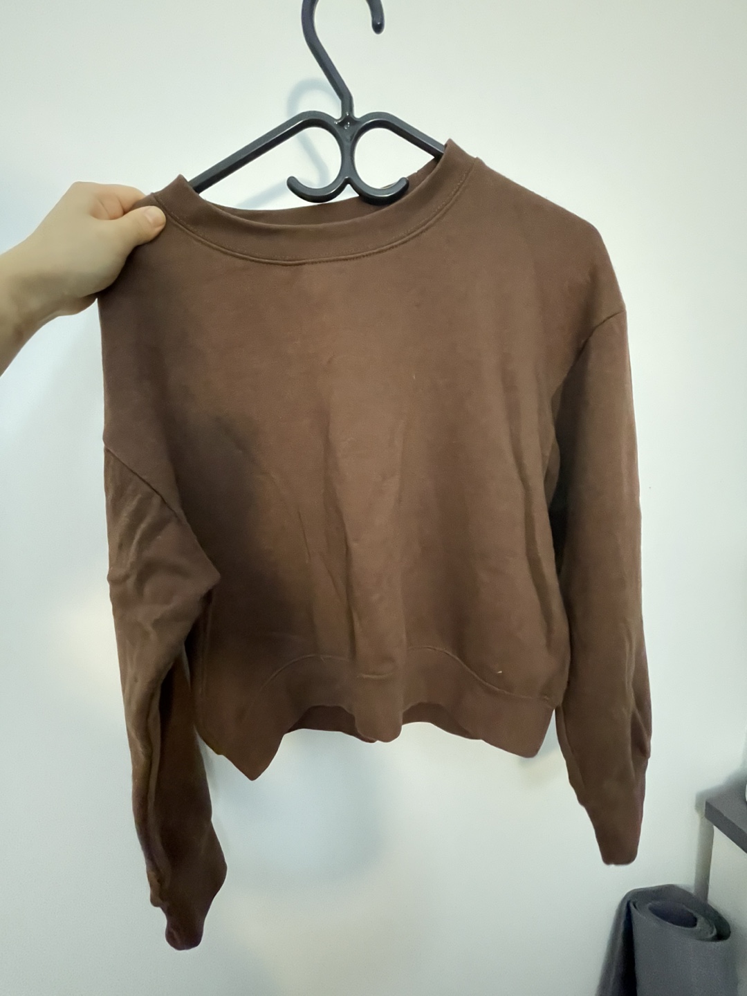 Zara Brown Cropped Sweatshirt