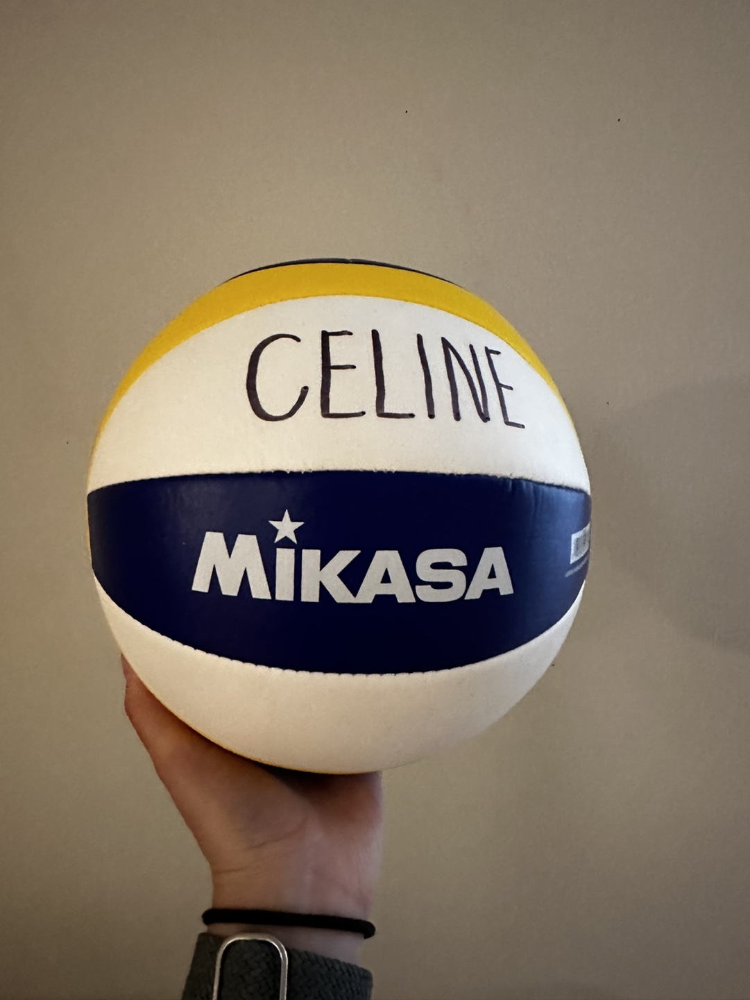 Mikasa Beach Classic Volleyball - photo 2